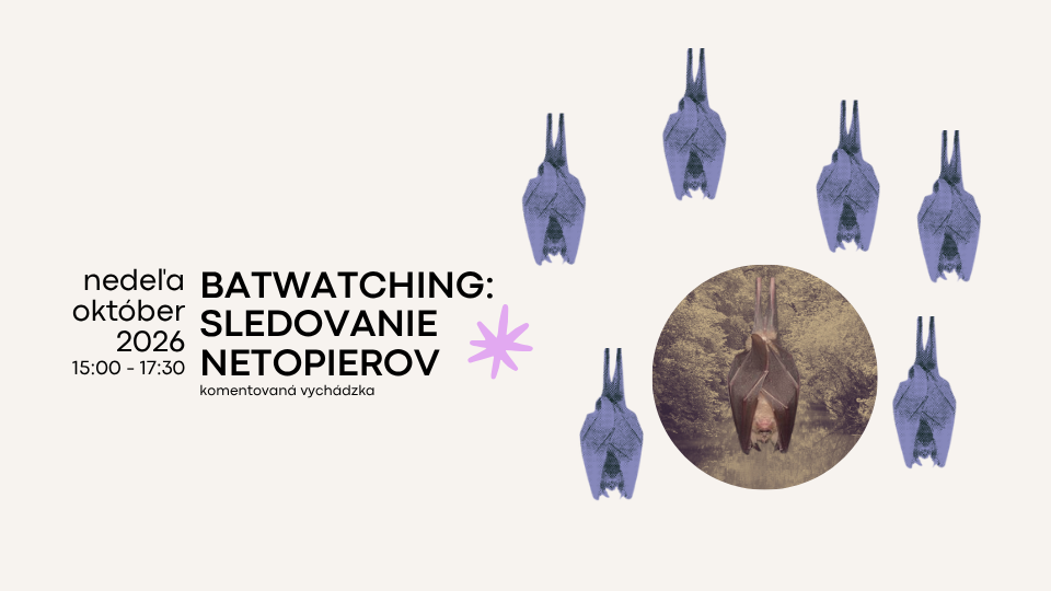 Batwatching Čunovo – pozorovanie netopierov v Čunovskom lese